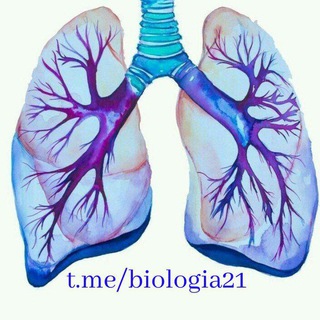 Логотип телеграм канала @biologia21 — Биология, анатомия человека