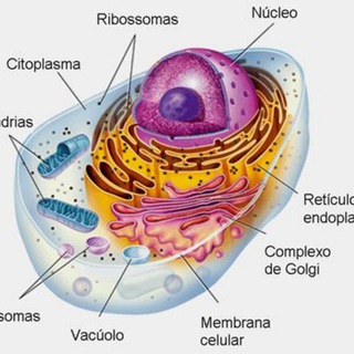 Telegram channel BIOLOGIA E CIÊNCIAS logo