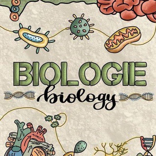 Логотип телеграм канала @biologiay — Биология ЕГЭ💡📚