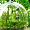 Логотип телеграм канала @biologika_gul — БиологиКа
