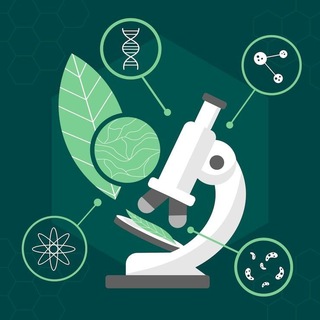 Telegram kanalining logotibi biologiya_talim_uz — BioZone🔬