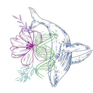 Логотип телеграм -каналу biology_onu — Біологічний факультет ОНУ