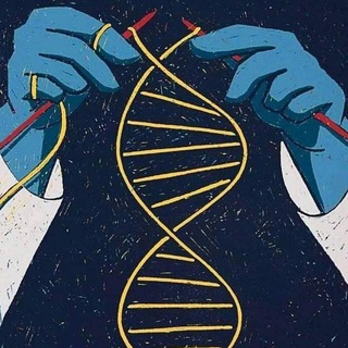 لوگوی کانال تلگرام biologyhakeemaplus — Genetics _ Pre8 _ HAKEEM & A 