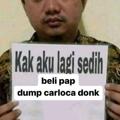 Logo saluran telegram bioloqgi — Carloca dump, buy 2 get 1😵‍