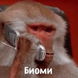 Логотип телеграм канала @biooomi — Биоми (видюшная)
