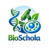 Логотип телеграм канала @bioschola — BioSchola | В мед без хаоса