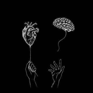 لوگوی کانال تلگرام biotim1 — Black-_-heart 🖤