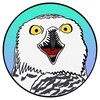 Логотип телеграм канала @bipolyarnaya_sovaa — Биполярная сова 🦉 | Видео | Юмор