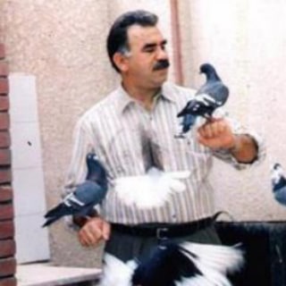 Telgraf kanalının logosu bir_halki_savunmak — Bir_Halki_Savunmak