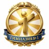 Логотип телеграм канала @bir_gimn1 — Гимназия 1 Биробиджан