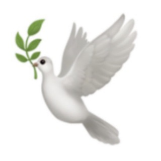 Logo saluran telegram bird2ray_help — Bird2Ray Help | راهنما