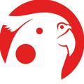 Logo saluran telegram birdbronews — Bird Bro News