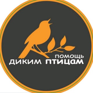 Логотип телеграм канала @birdhelp — birdhelp
