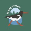 Логотип телеграм канала @birding_pohody — Birding-походы