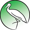 Logo of telegram channel birdlife_serbia — BirdLife Serbia