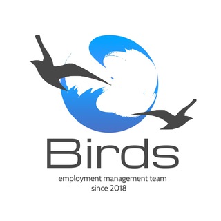 Логотип телеграм канала @birds_team — BIRDS- Работа за границей