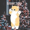 Логотип телеграм канала @biser_top1307 — 🤍•Biser_top•⛄️