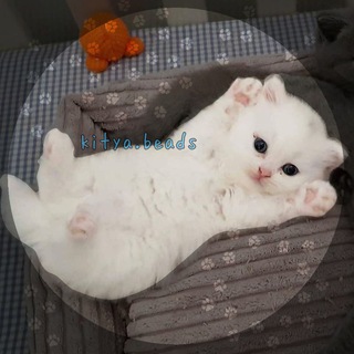 Логотип телеграм канала @biserkmeo — 🐈‍⬛😸~kitya.beads~ бисер🧊💗