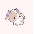 Логотип телеграм канала @biserrwq — ✨biserrwq🌾