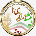Logo saluran telegram bishehderaziha — 💯 بیشه‌درازی‌ها 💯