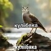 Логотип телеграм канала @bishkaandkuchi — Империя докса