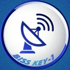 Логотип телеграм канала @biss_keys — БИСС-КЛЮЧИ [RUS-24]