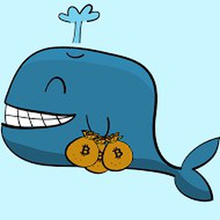 Telegram channel Bit Whale.io logo