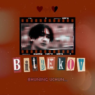 Логотип телеграм канала @bitbekov79 — BITBEKOV 79
