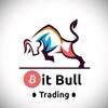 Logo of telegram channel bitbullsignals1 — ₿it-Bull™ Crypto 📊 Signals 📊