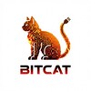 Логотип телеграм канала @bitcatteam — BitCat