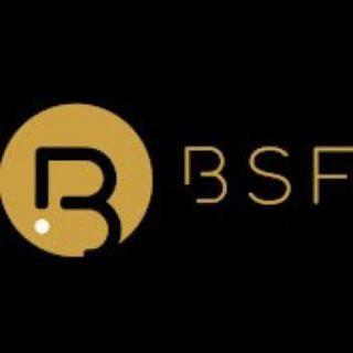 Logotipo del canal de telegramas bitcoin_sin_fronteras - Bitcoin Sin Fronteras señales BSF
