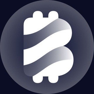 Logo des Telegrammkanals bitcoin2gonews - Bitcoin2Go: News & Insights