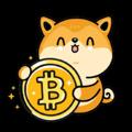 Logotipo do canal de telegrama bitcoindogememe - BitcoinDoge - Announcement