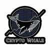 Logo of telegram channel bitcoinfinwhaletm — ₿𝕀𝕋ℂ𝕆𝕀ℕ 𝔽𝕀ℕ𝕎ℍ𝔸𝕃е🐳ᵀᴹ