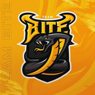 Логотип телеграм канала @biteteamnew — Bite team scrims