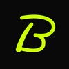 Telegram channel Bitlflare Announcements logo