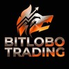Logo of telegram channel bitlobotradingvvvvvvv — BITLOBO TRADING Proyecciones