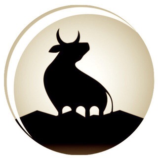 Logo of telegram channel bitmex_blackbull_eng — Bitmex BlackBull Eng ®️