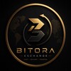 Логотип телеграм канала @bitoranews — Bitora News