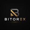 Telegram channel Bitorex Exchange logo