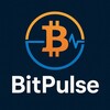 Telegram channel BitPulse logo
