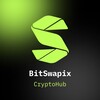 Logo of telegram channel bitswapix — BitSwapix CryptoHub