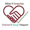 Telegram channel Bittaaf Gurgurtaa Channel logo