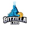 Logo of telegram channel bitzillalabs — Bitzilla Labs Updates