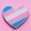 Telegram channel 🏳️‍⚧️ SHEMALE | TRANS | LADYBOY | BI PRIDE 🏳️‍⚧️ logo