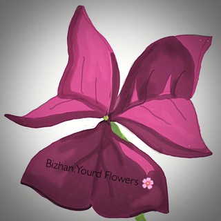 لوگوی کانال تلگرام bizhanyourdflowers — Bizhan.Yourd Flowers 🌸