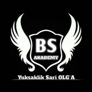 Telegram kanalining logotibi biznessanatakademiyasii — Biznes San'at Akademiyasi