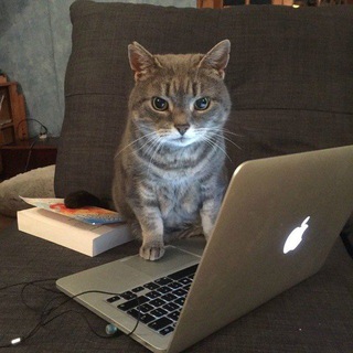 Логотип телеграм канала @biznesv16 — Начинаю свой бизнес в 16 лет. Одежда