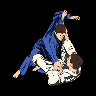 Логотип телеграм канала @bjjtechniques — BJJ tech