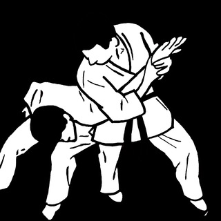 Логотип телеграм канала @bjjworld — BJJ WORLD